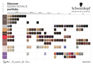 Schwarzkopf - grafico Nuovo IGORA reale colori con ciuffi -nuovi naturali marzo 2013- (comprende toni Igora Reale assolu...